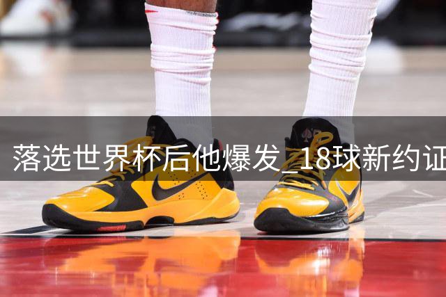 落选世界杯后他爆发 18球新约证明价值